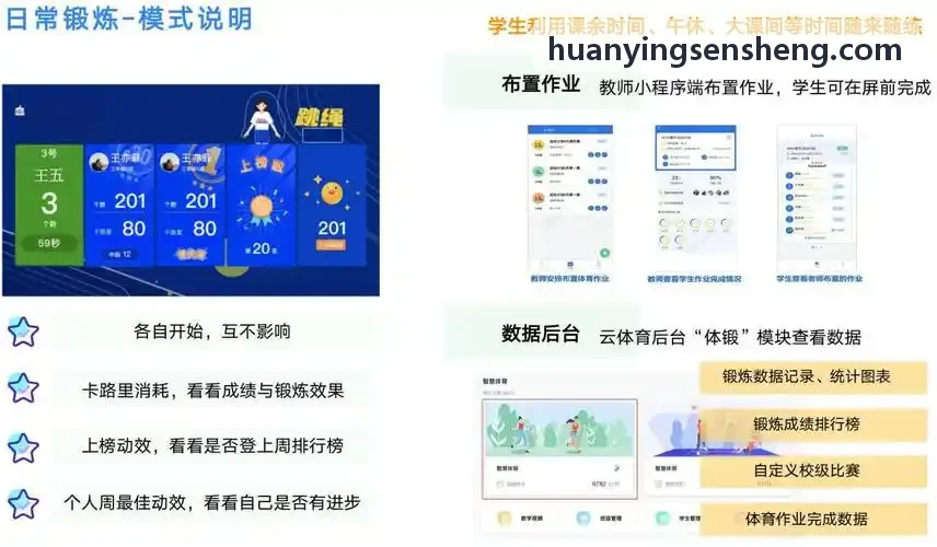 幻影体育环境与空间感知中枢